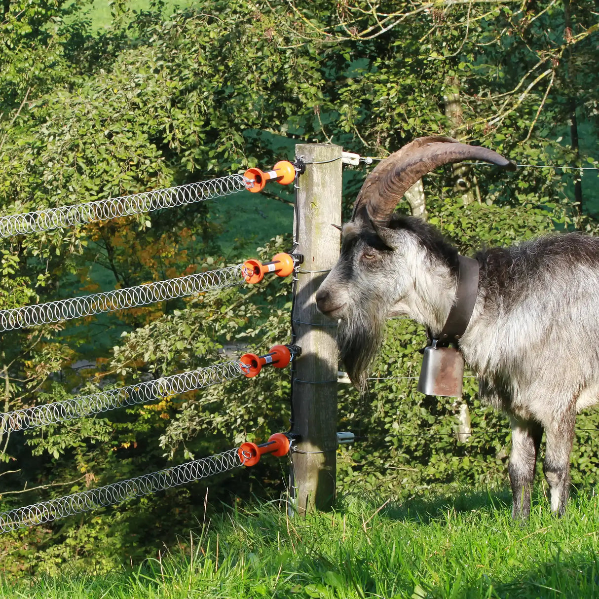 Gallagher 5.0m Electric Fence Spring Gate Set