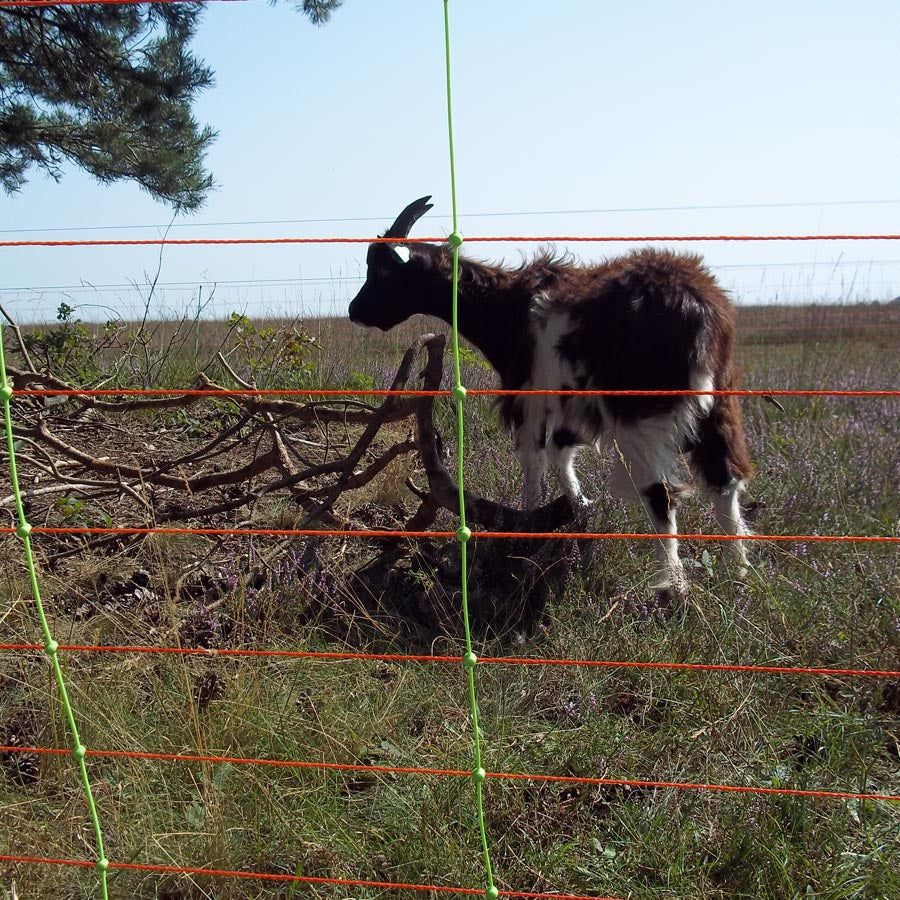 Gallagher Electric Fence Sheep Combo Net with Single Pin Posts | 90cm High x 50m Long