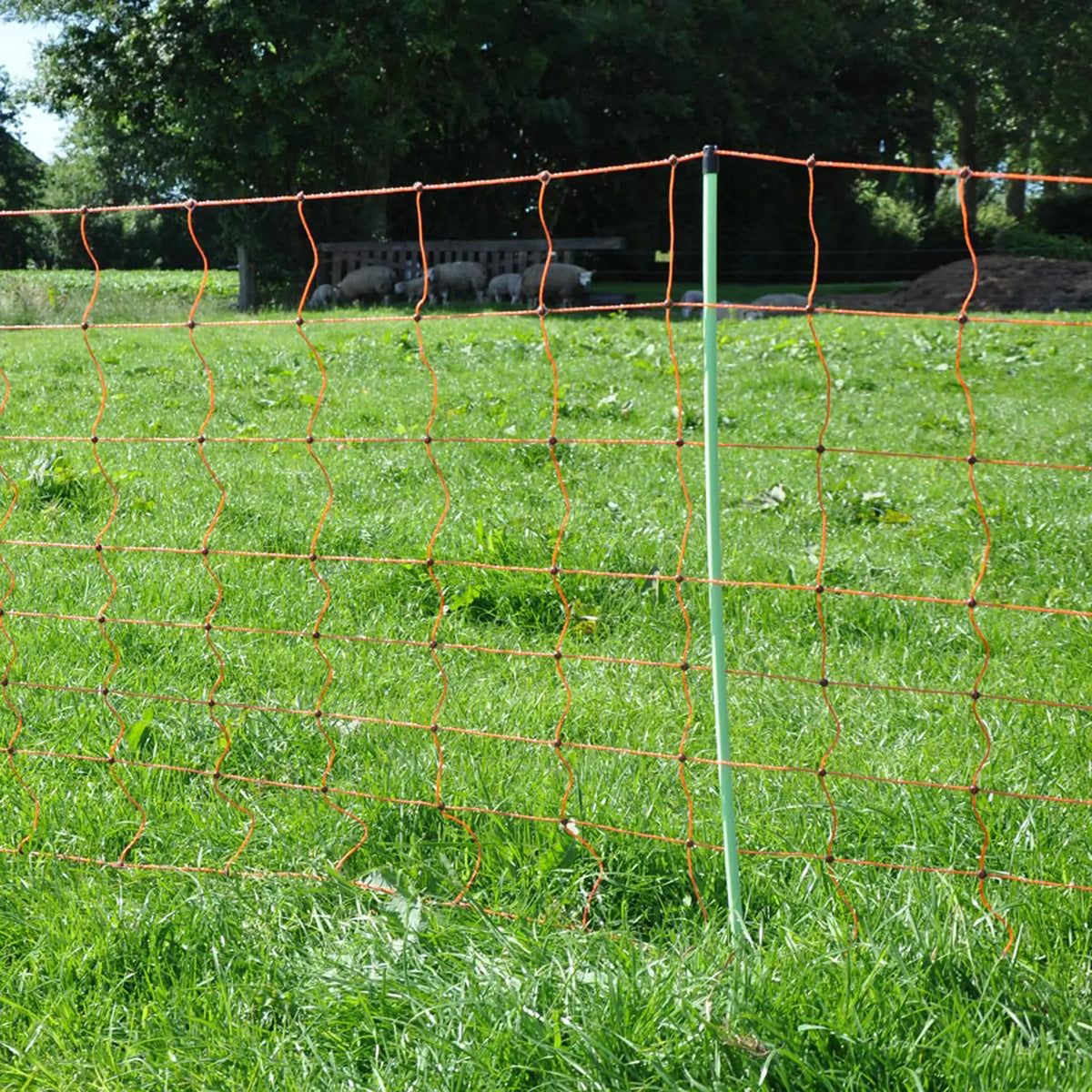 Gallagher Electric Fence Sheep Netting with Single Pin Posts | 90cm High x 50m Long