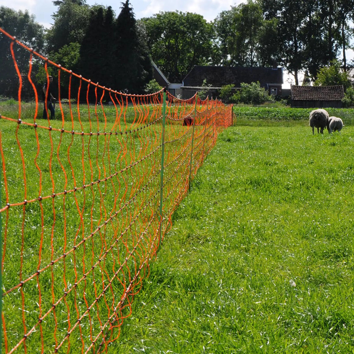 Gallagher Electric Fence Sheep Netting with Single Pin Posts | 90cm High x 50m Long