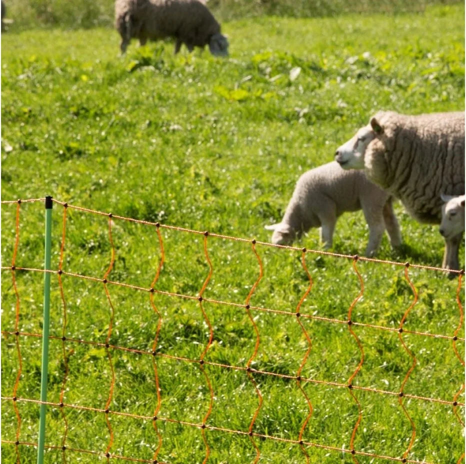 Gallagher Electric Fence Sheep Netting with Double Pin Posts | 90cm High x 50m Long