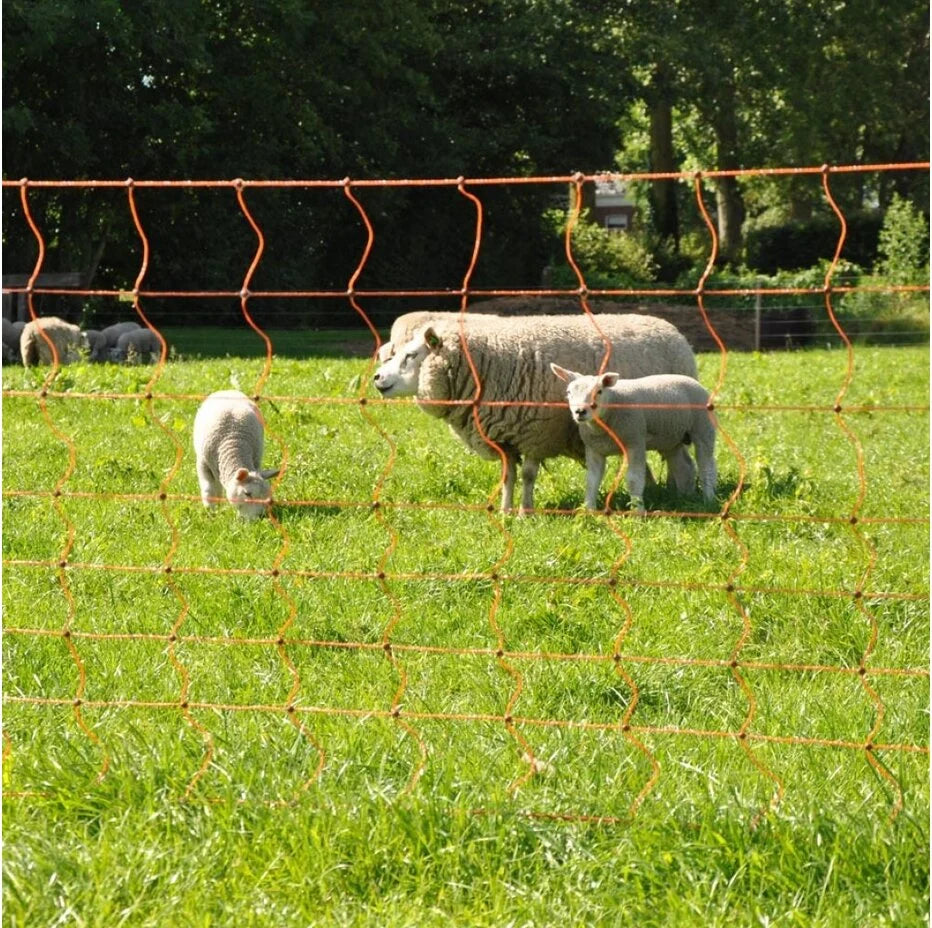 Gallagher Electric Fence Sheep Netting with Double Pin Posts | 90cm High x 50m Long