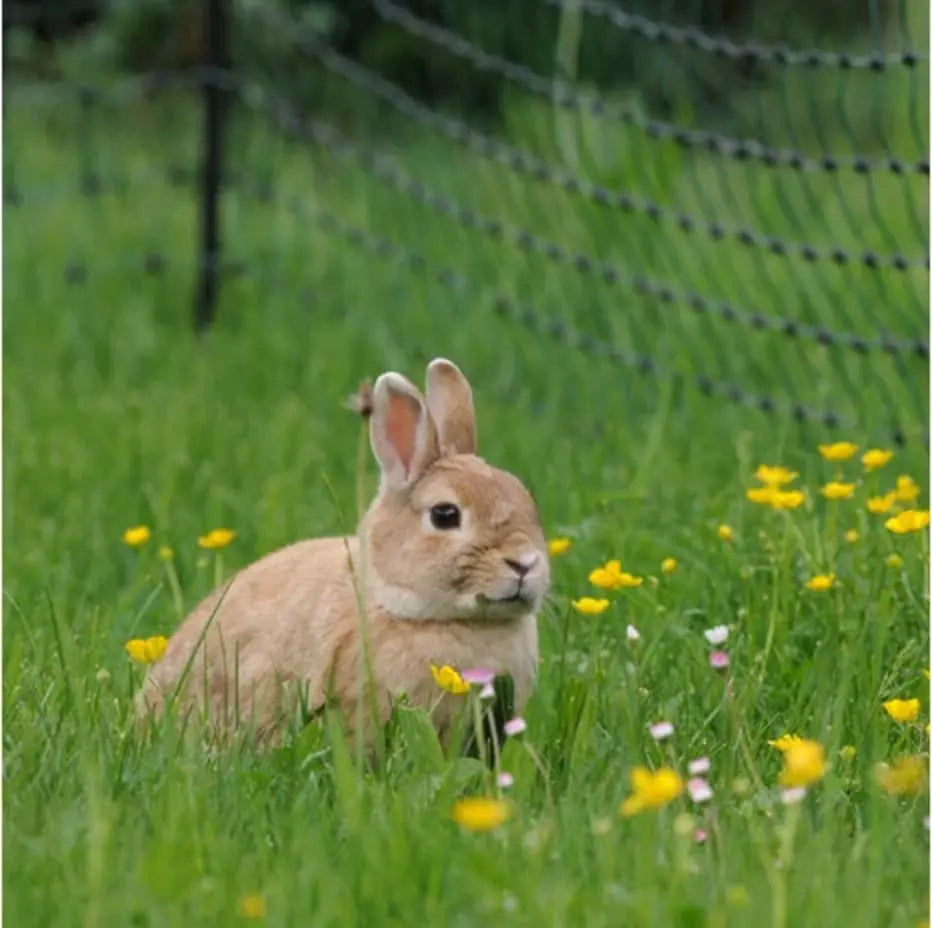 Gallagher Electric Fence Rabbit / Hobby Net with Single Pin Posts | 65cm High x 50m Long