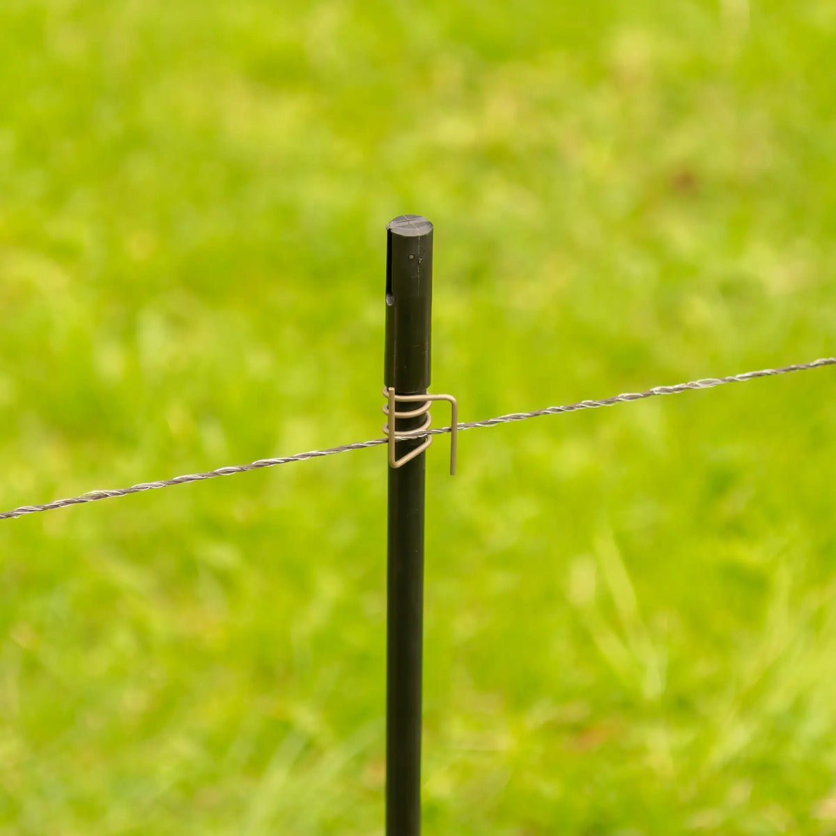 Gallagher Black Plastic Post - 0.50m + 0.20m spike | Pack of 10 | ST |