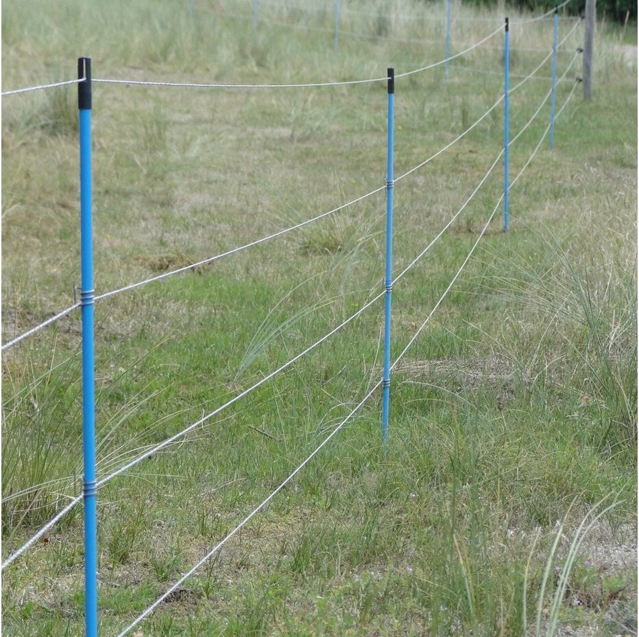 Electric fence with blue posts and wire in a grassy field