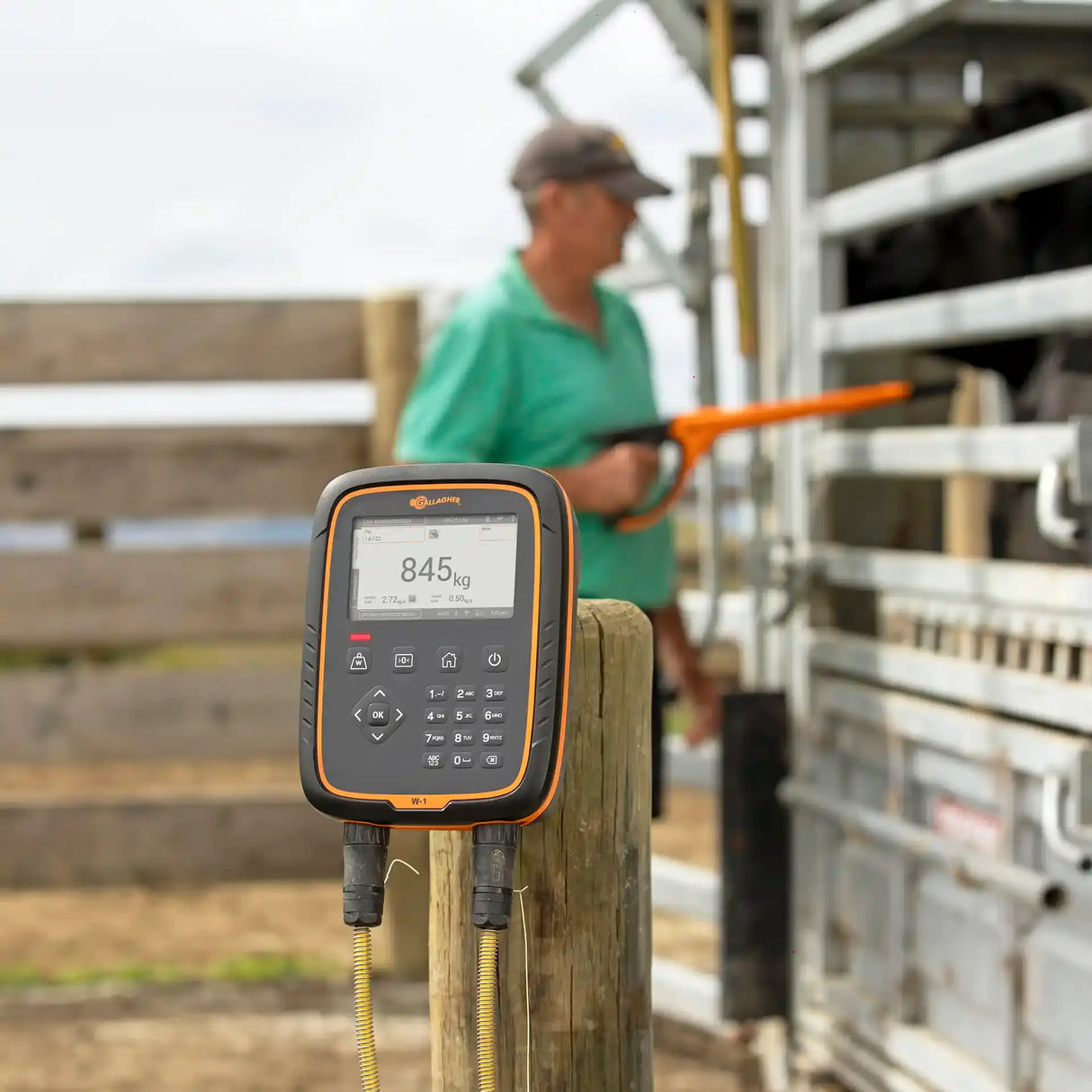 Gallagher W-1 Cattle & Sheep Weigh Scale