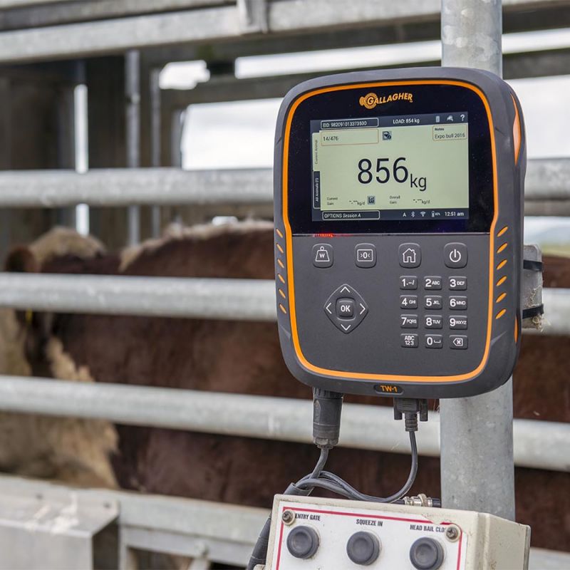 Gallagher TW-1 Cattle & Sheep Weigh Scale