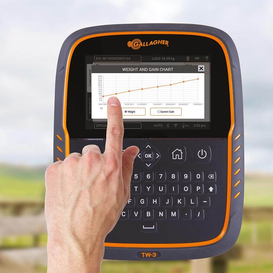 Gallagher TW-3 Cattle & Sheep Weigh Scale and Data Collector