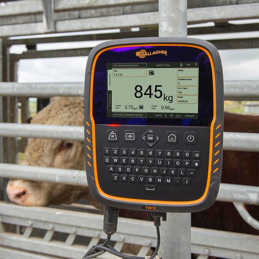 Gallagher TW-3 Cattle & Sheep Weigh Scale and Data Collector