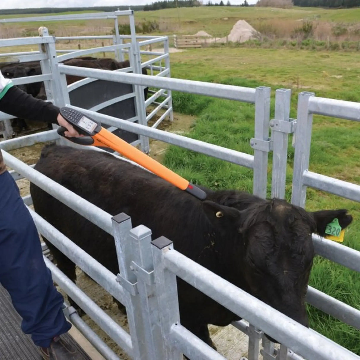 Gallagher EID Tag Reader