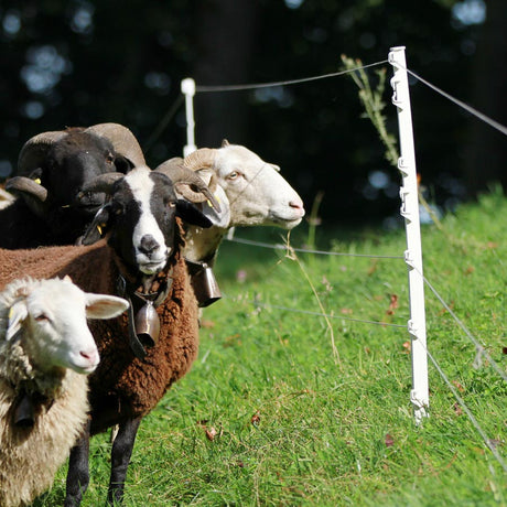 Gallagher Hobby post - White | Pack of 10