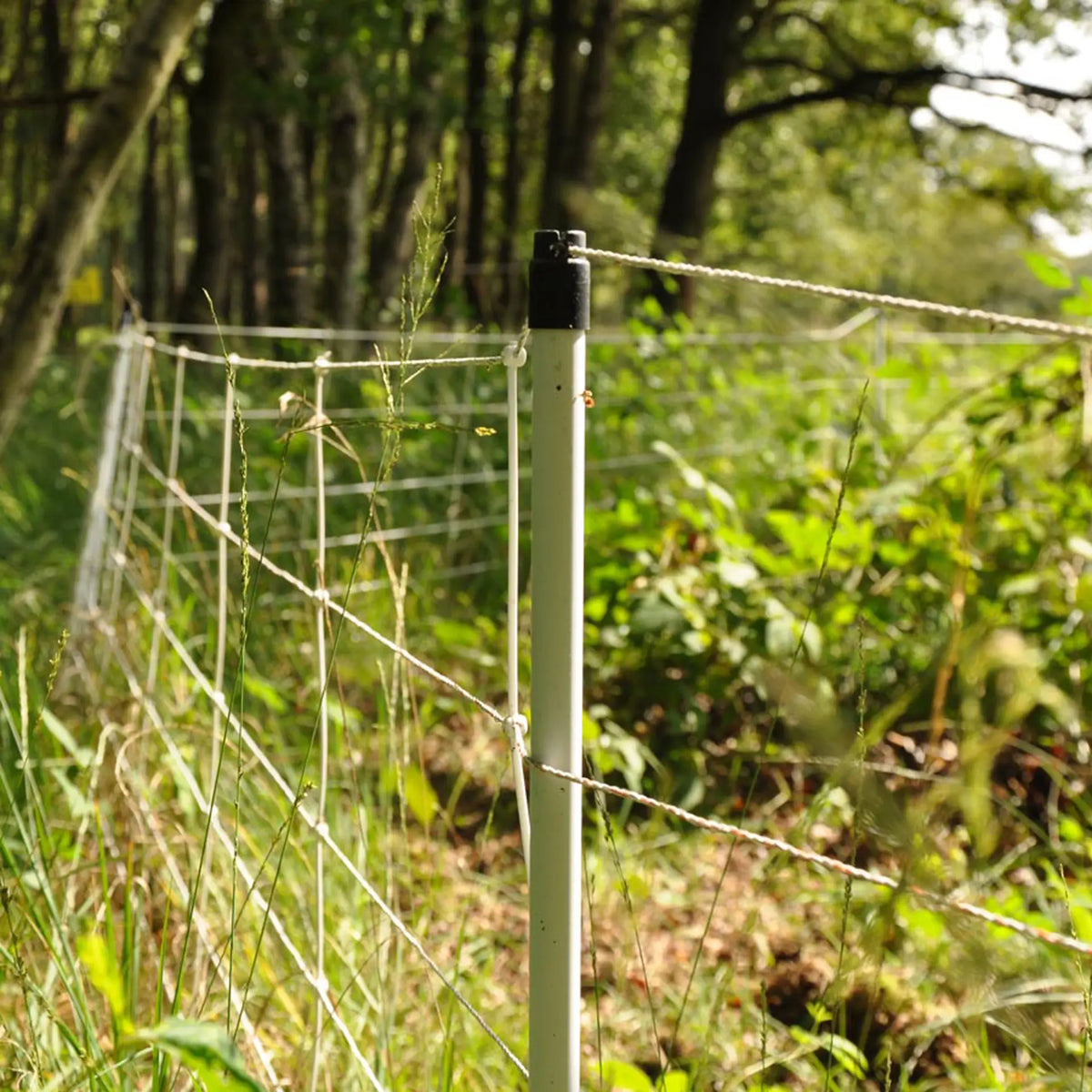 Gallagher Electric Fence Wild Boar Netting with Single Pin Posts | 75cm High x 50m Long
