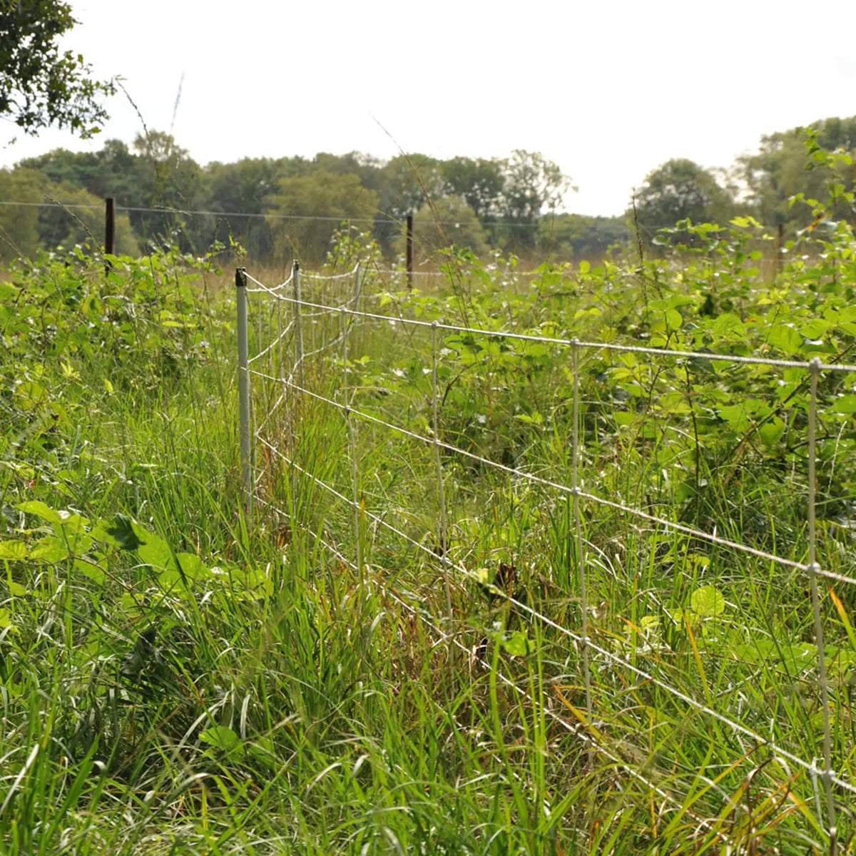 Gallagher Electric Fence Wild Boar Netting with Single Pin Posts | 75cm High x 50m Long