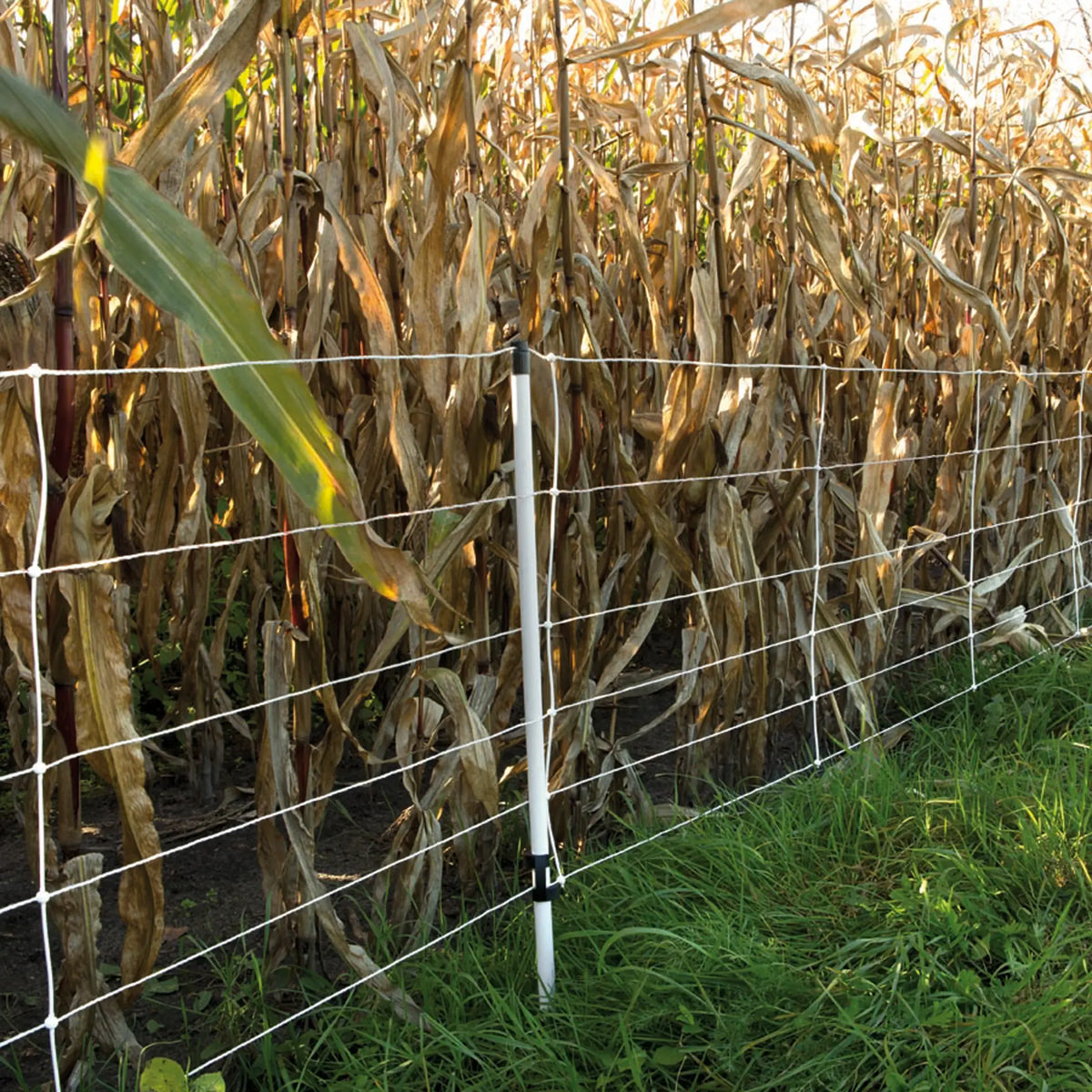 Gallagher Electric Fence Wild Boar Netting with Single Pin Posts | 75cm High x 50m Long