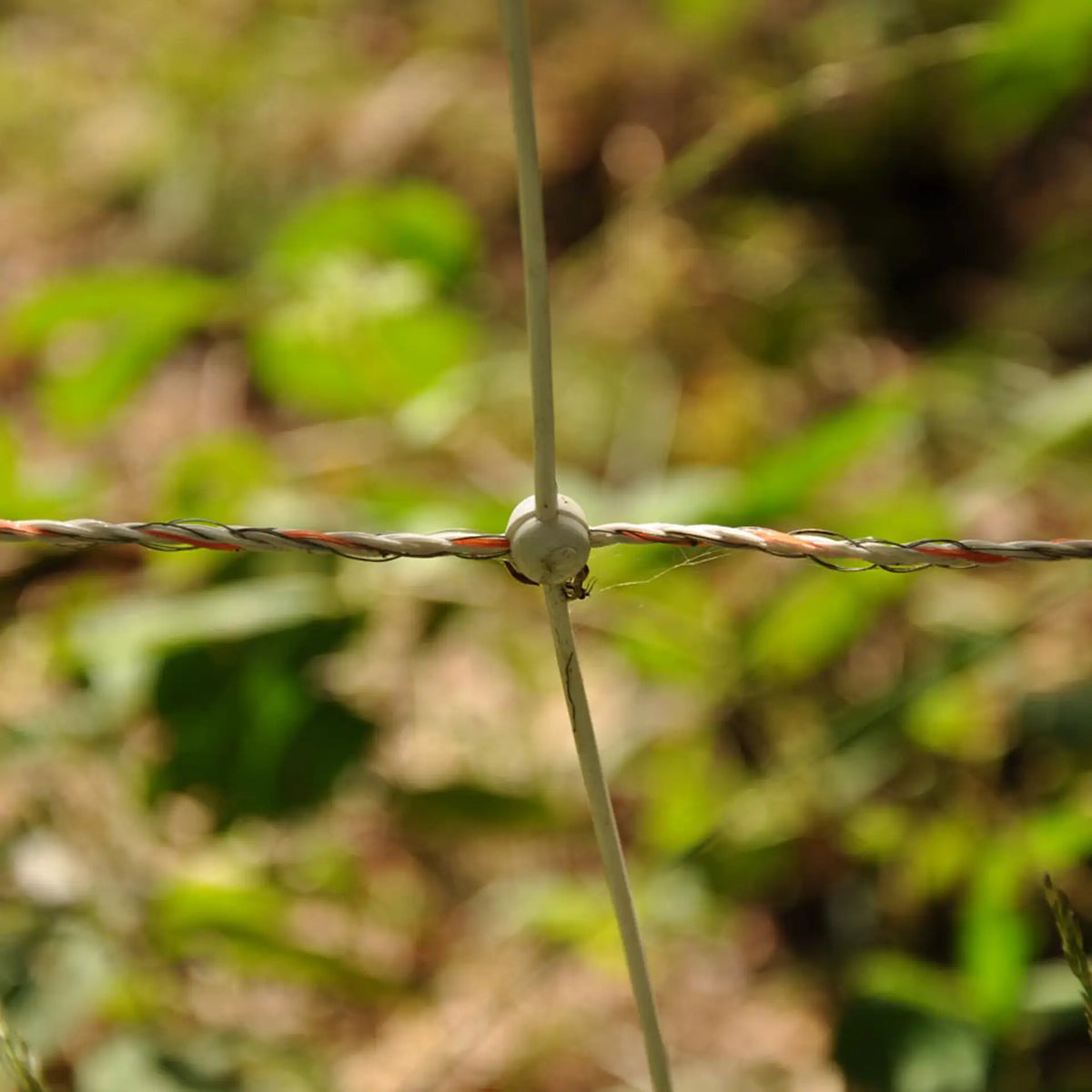 Gallagher Electric Fence Wild Boar Netting with Single Pin Posts | 75cm High x 50m Long