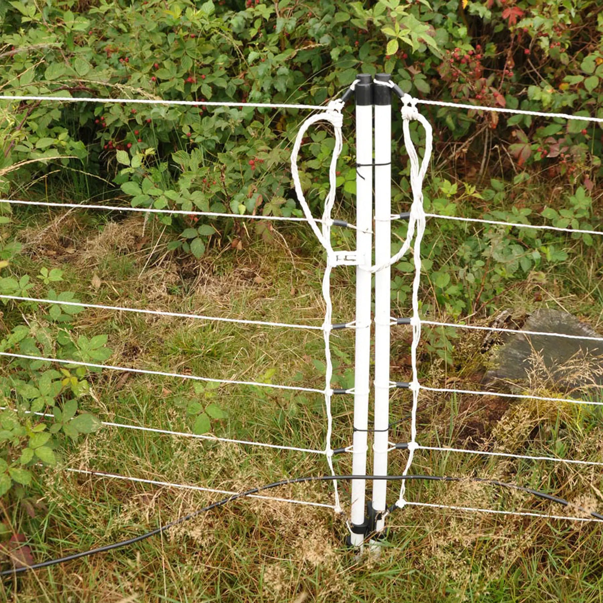 Gallagher Electric Fence Wild Boar Netting with Single Pin Posts | 75cm High x 50m Long