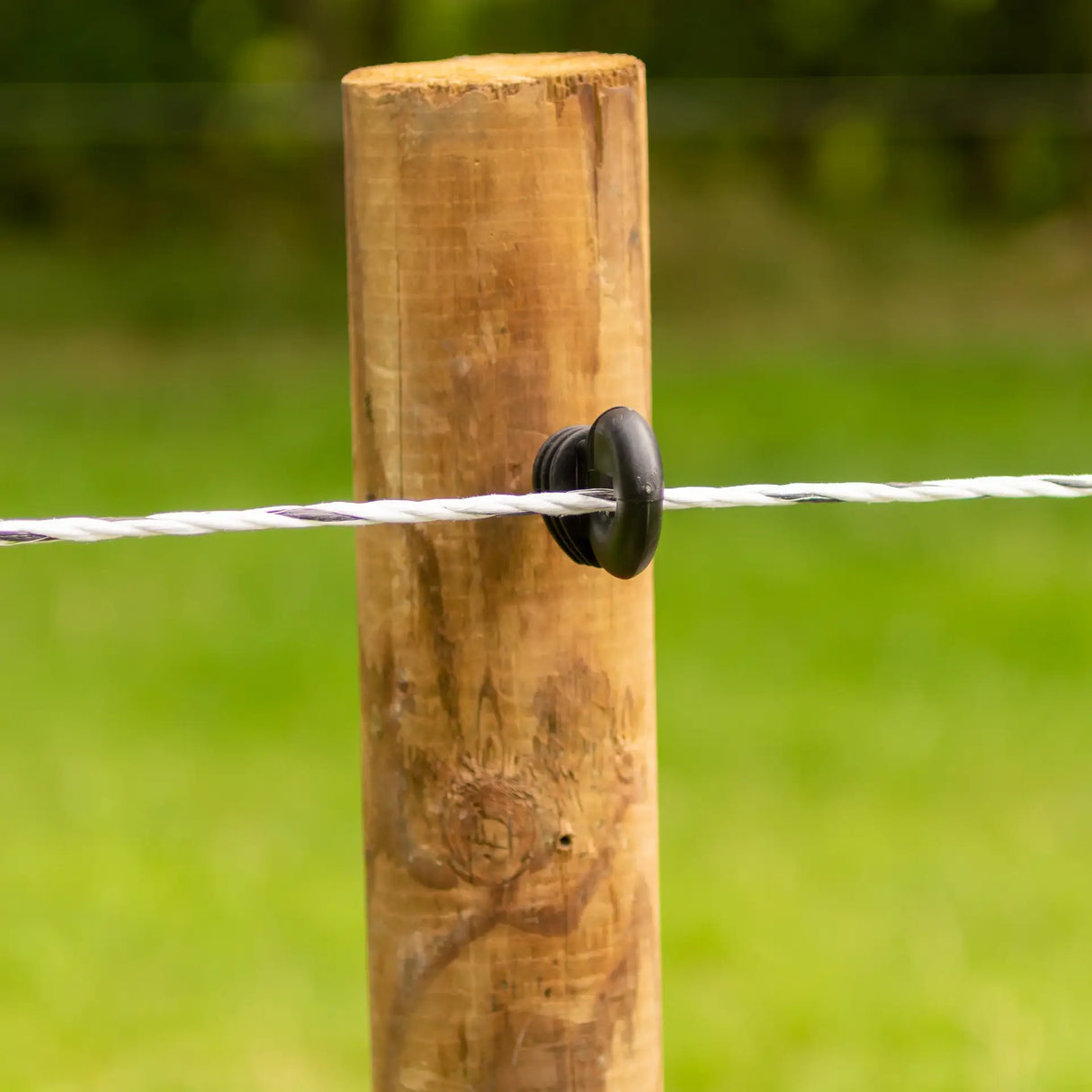 Gallagher Electric Fence EconomyLine Rope | White | 500m | ST