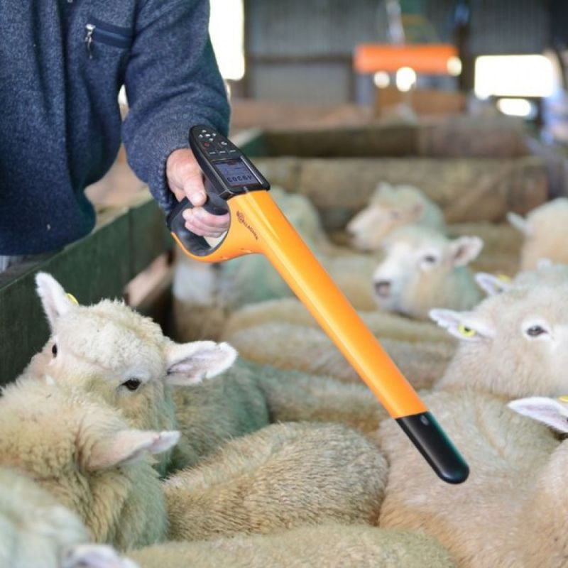 Portable EID Tag Reader
