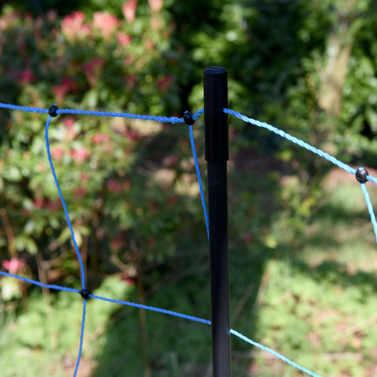Gallagher Wolf Electric Netting, Blue | 120cm High x 50m Long | No longer available