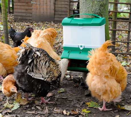 BEC Wise Mountable Feeder For Poultry Sheds | 10kg