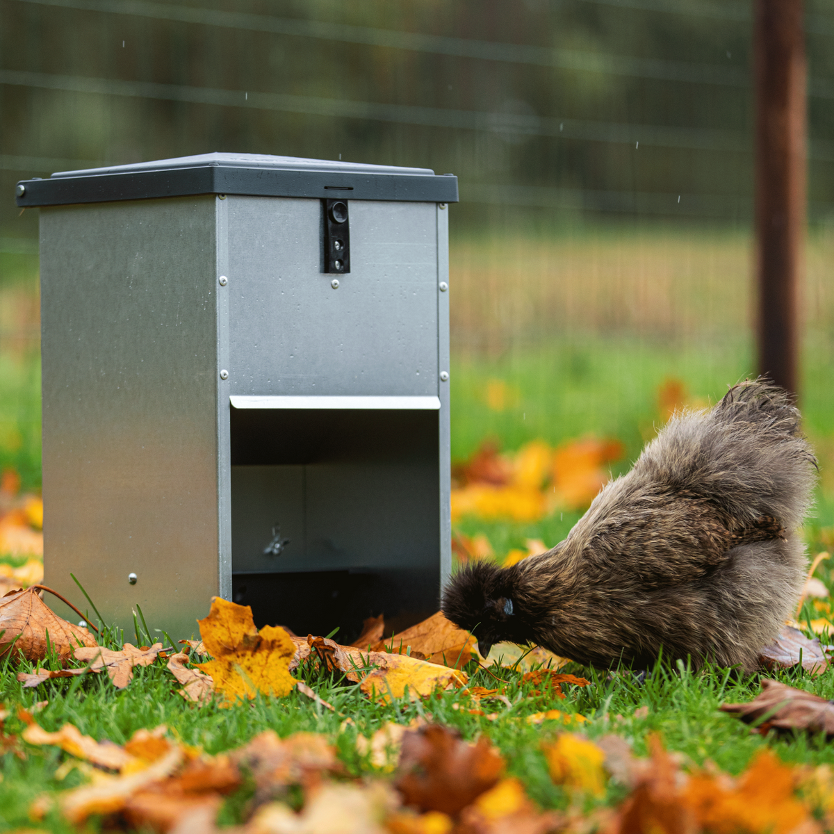 Olba Outdoor Chicken Feeder - 5kg Capacity