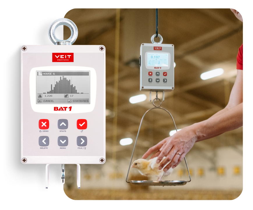 VEIT Manual Poultry Scale For Weighing Individual Birds | BAT1