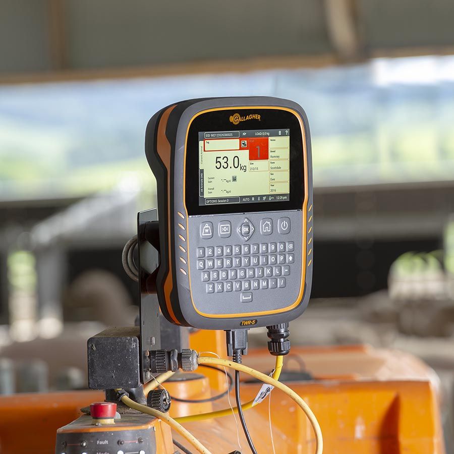 Gallagher TWR-5 Cattle & Sheep Weigh Scale and Data Collector with integrated EID Reader