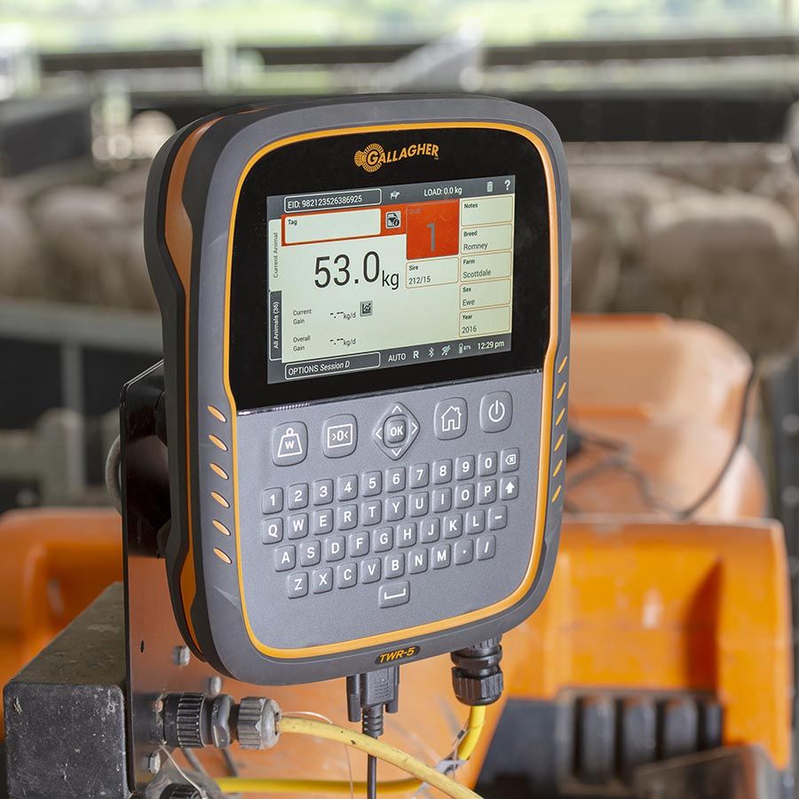 Gallagher TWR-5 Cattle & Sheep Weigh Scale and Data Collector with integrated EID Reader