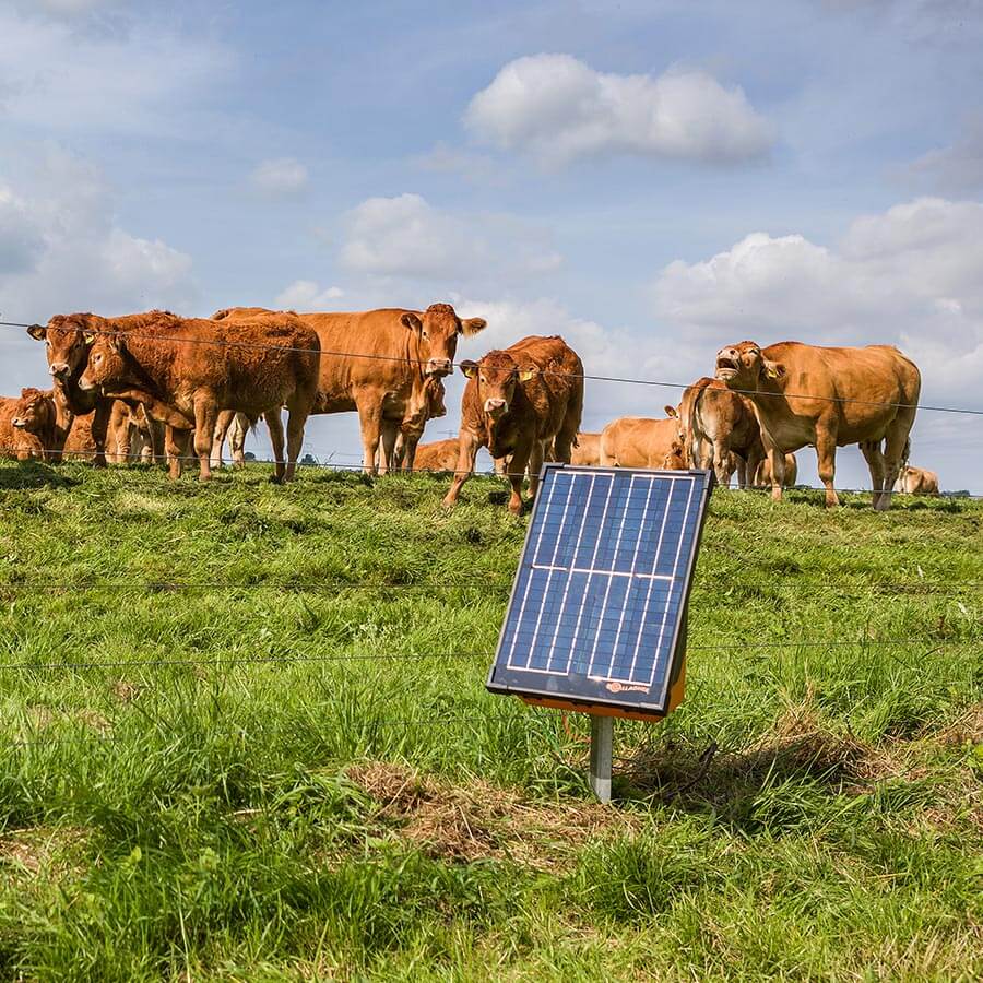 Gallagher S200 Solar energiser