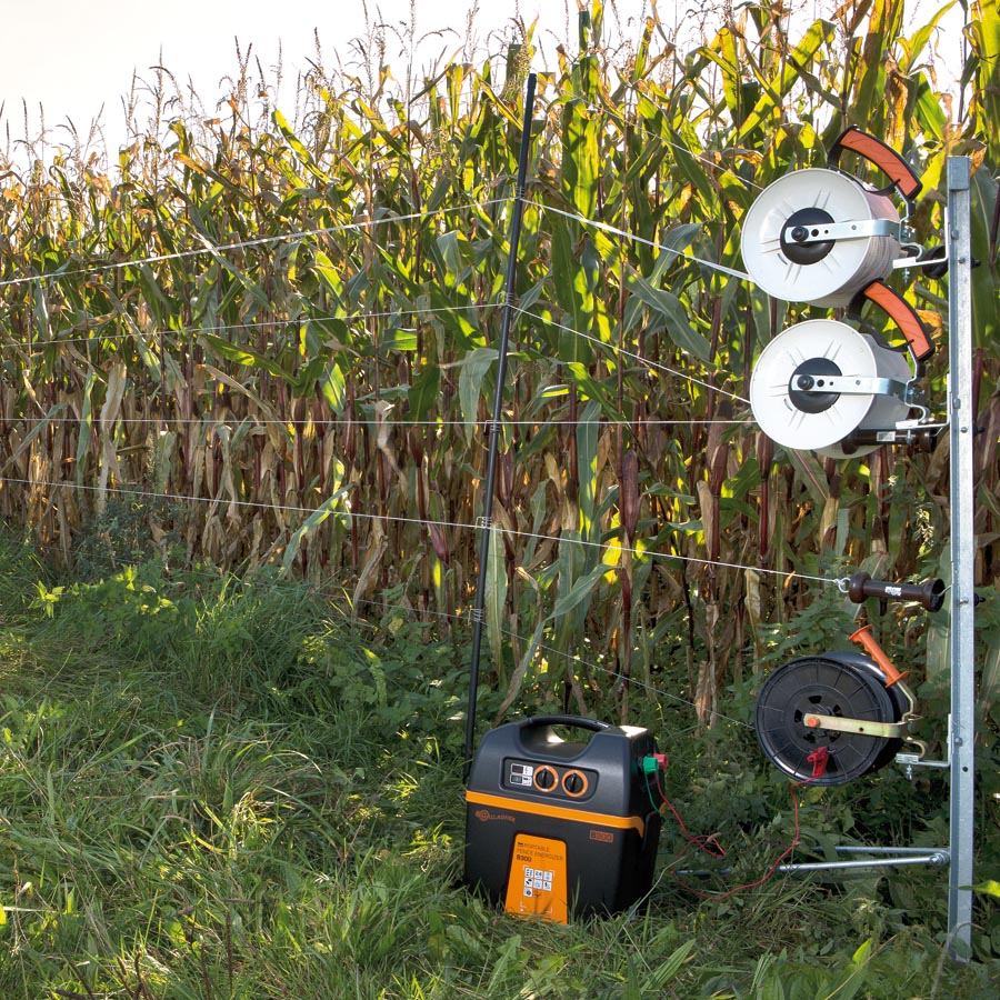 Gallagher B300 battery Electric Fence energiser - 12V