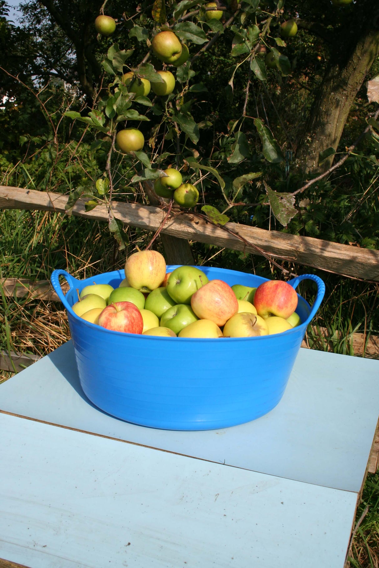 Gorilla Tub® Flexible Bucket 15lt - shallow, ideal for Foot Dip