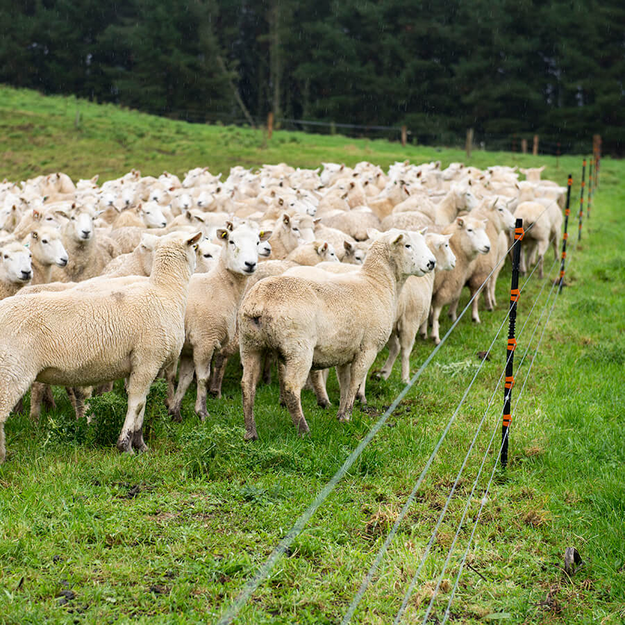 Gallagher Electric Fence Insulated Line Post for sheep and cattle 1.40m (Pack of 4)