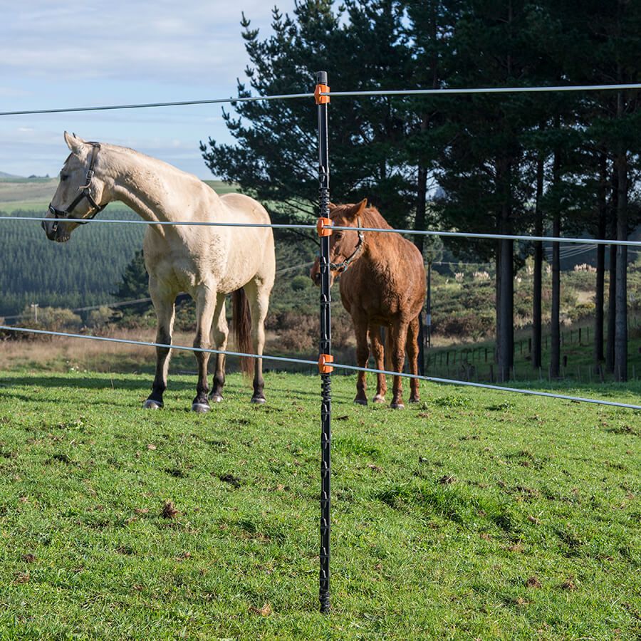 Two horses behind a wire fence with a gallagher insulated line post, which is part of the fencing system, standing in a field.