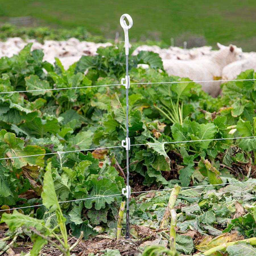 Gallagher Multi Wire Ring Top White Post 1.10 m | Pack of 10 | ST |