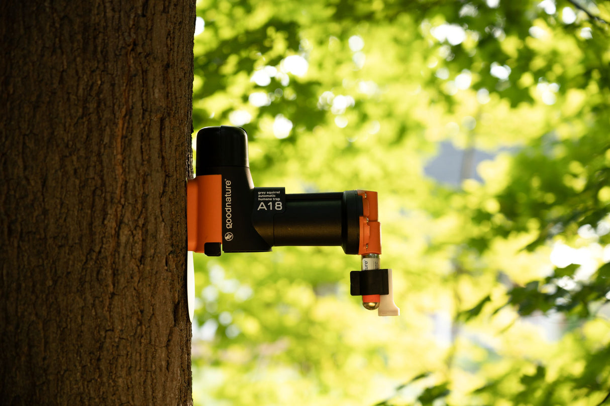 Goodnature Squirrel Trap Kit - A18