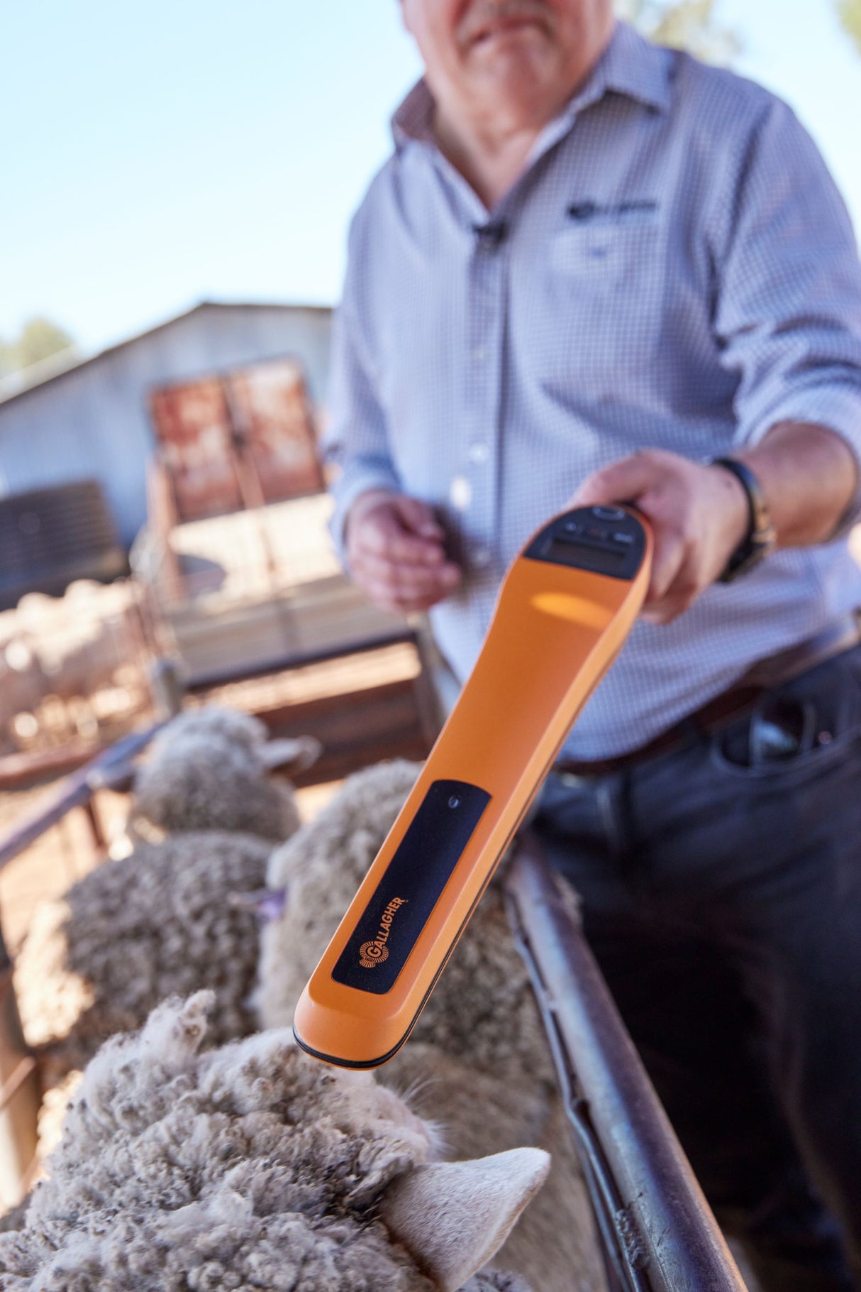 Gallagher HR0 EID Stick Reader – Entry-Level Handheld Tag Reader