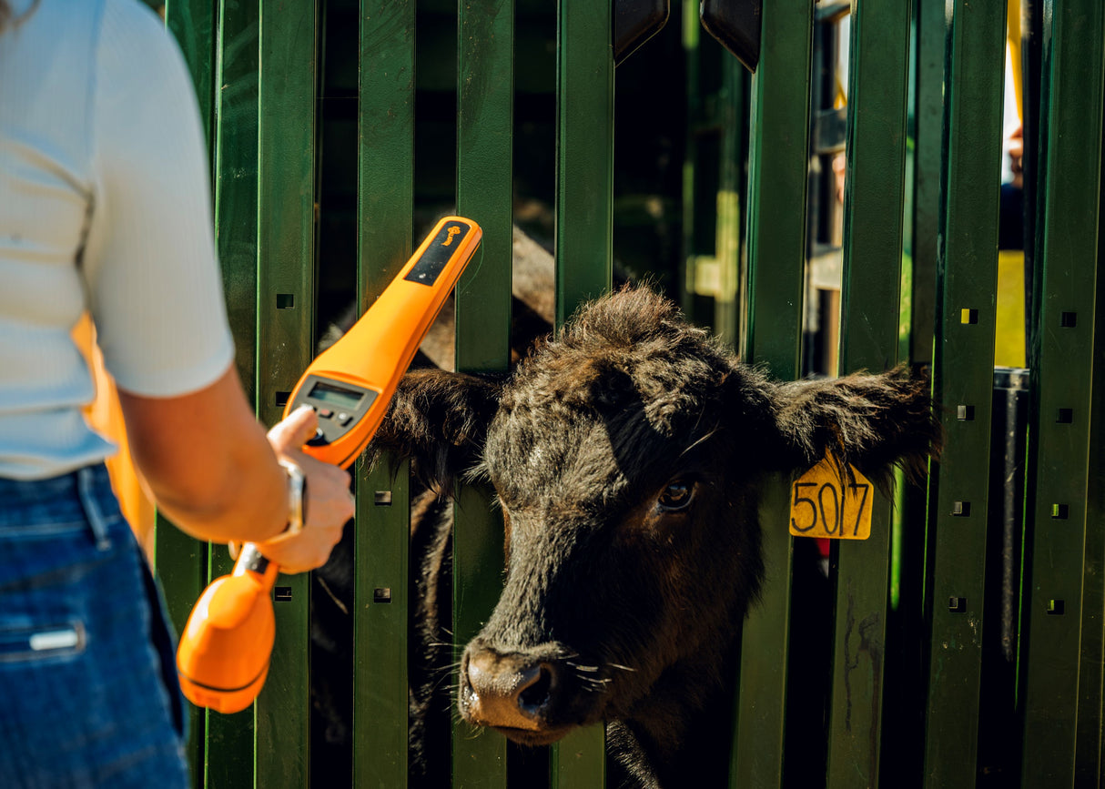 Gallagher HR0 EID Stick Reader – Entry-Level Handheld Tag Reader