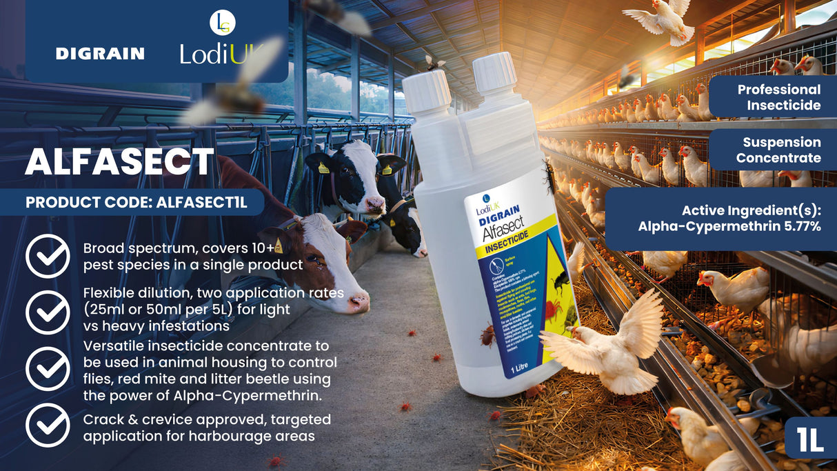 Digrain Alfasect Insecticide Concentrate | 1lt