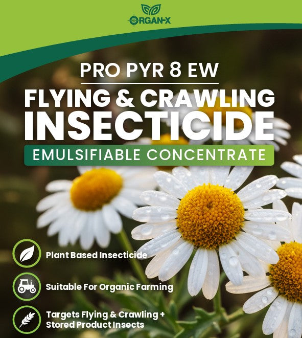 Organ-X Pro PYR 8 EW | 1lt