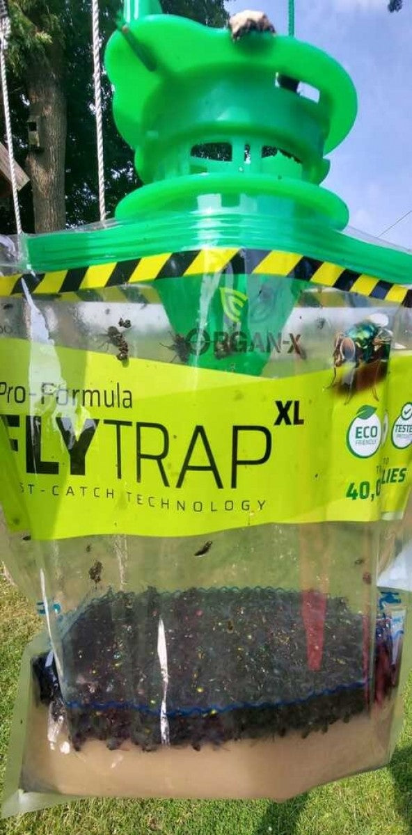 A clear plastic fly trap with a green lid and label that reads 'Organ-X Pro Formula FLY TRAP XL' with a yellow and black stripe design.