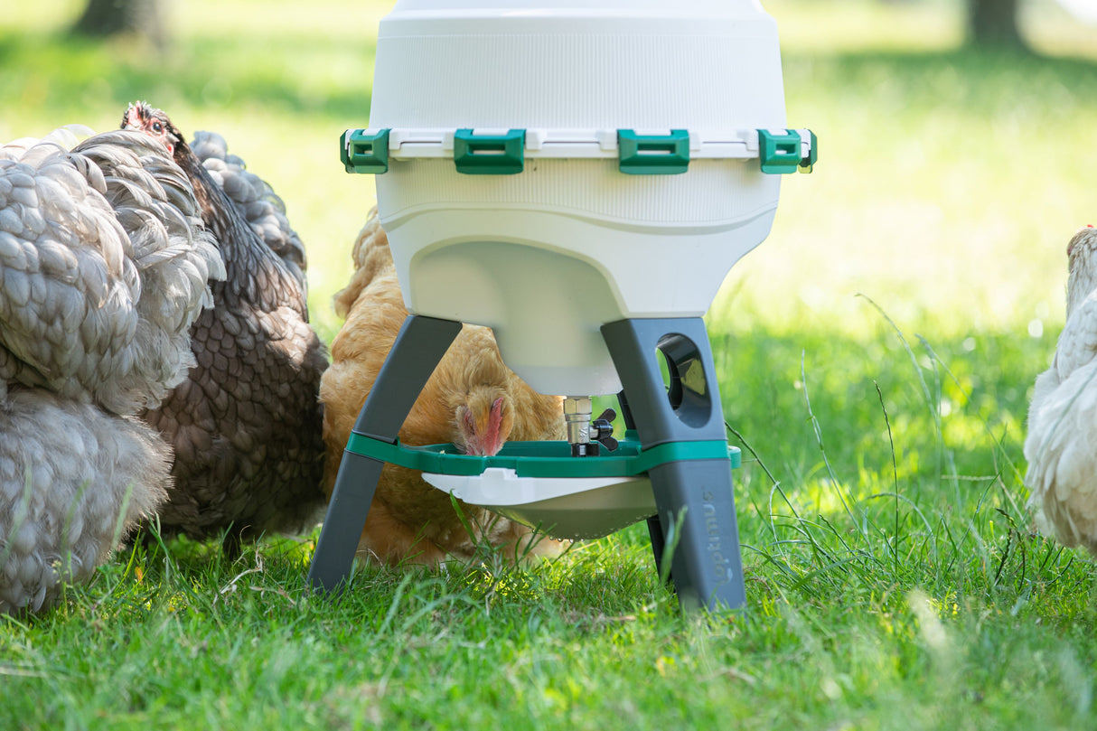 Optimus Siphon Drinker For Poultry (Indoor and Outdoor) 25lt