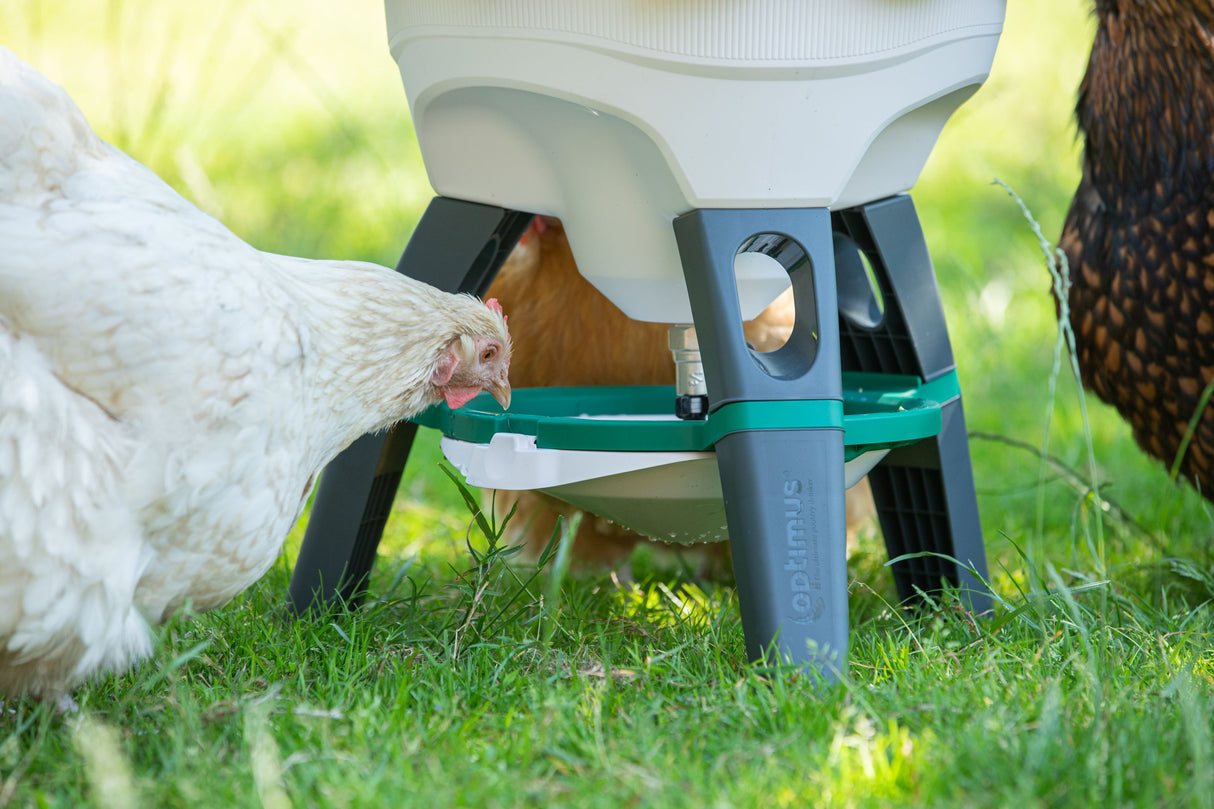 Optimus Siphon Drinker For Poultry (Indoor and Outdoor) 25lt