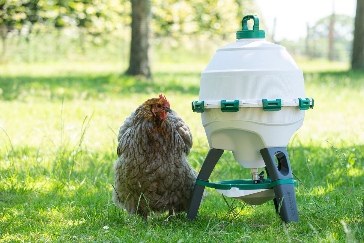 Optimus Siphon Drinker For Poultry (Indoor and Outdoor) 25lt