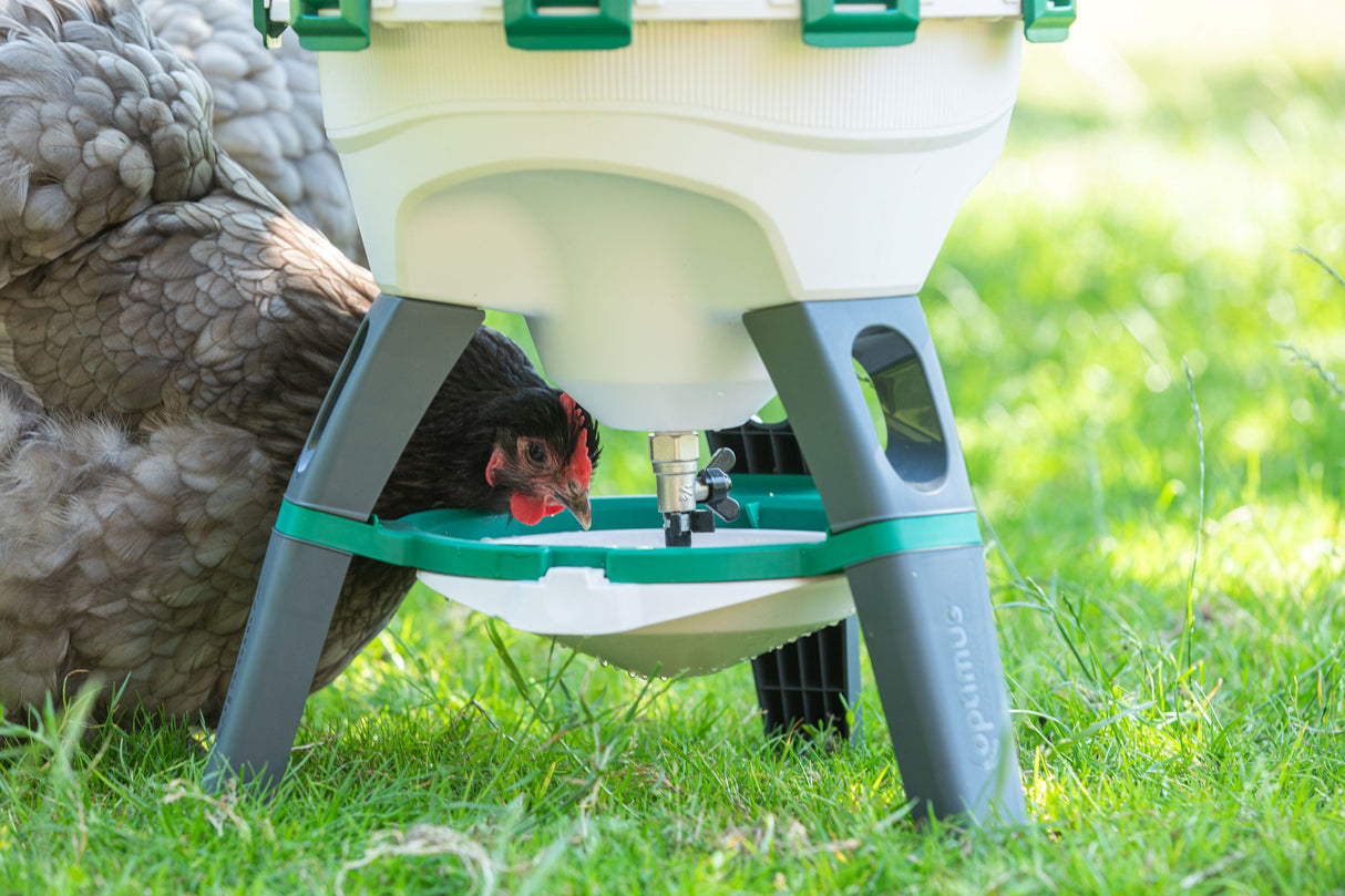 Optimus Siphon Drinker For Poultry (Indoor and Outdoor) 25lt