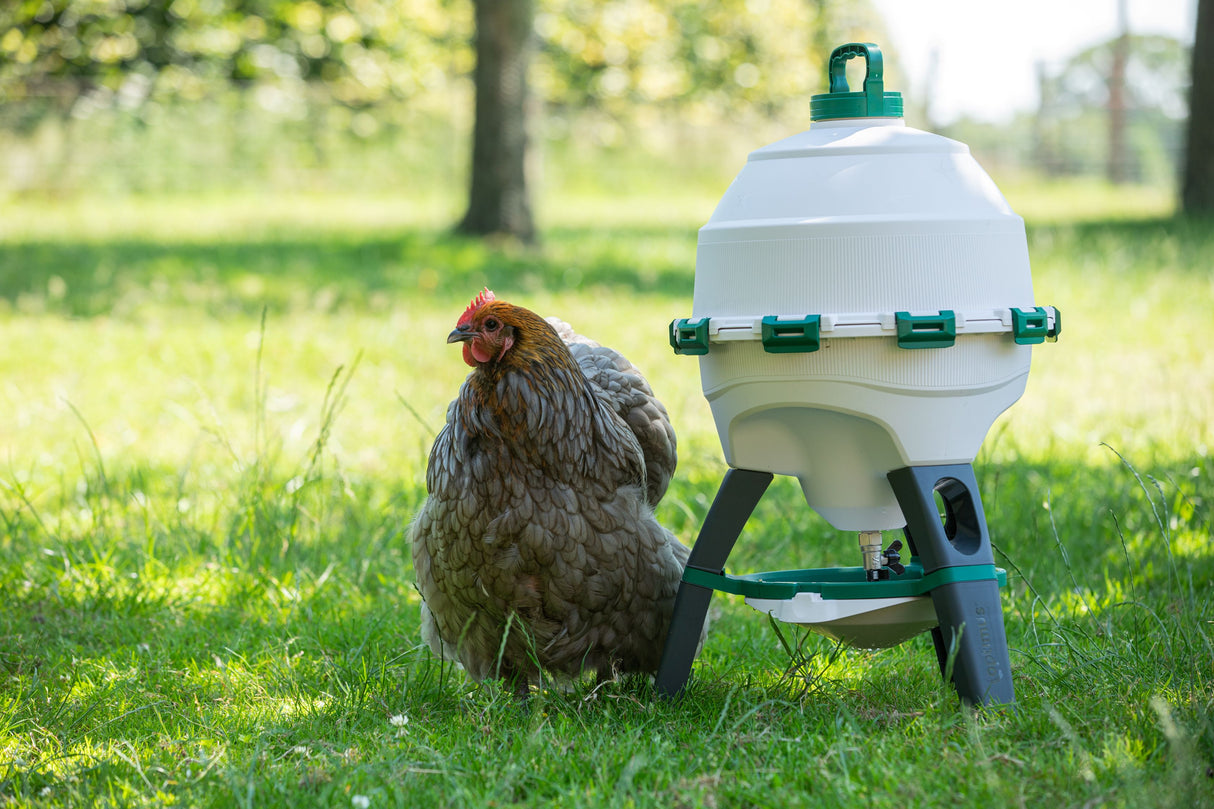 Optimus Siphon Drinker For Poultry (Indoor and Outdoor) 25lt
