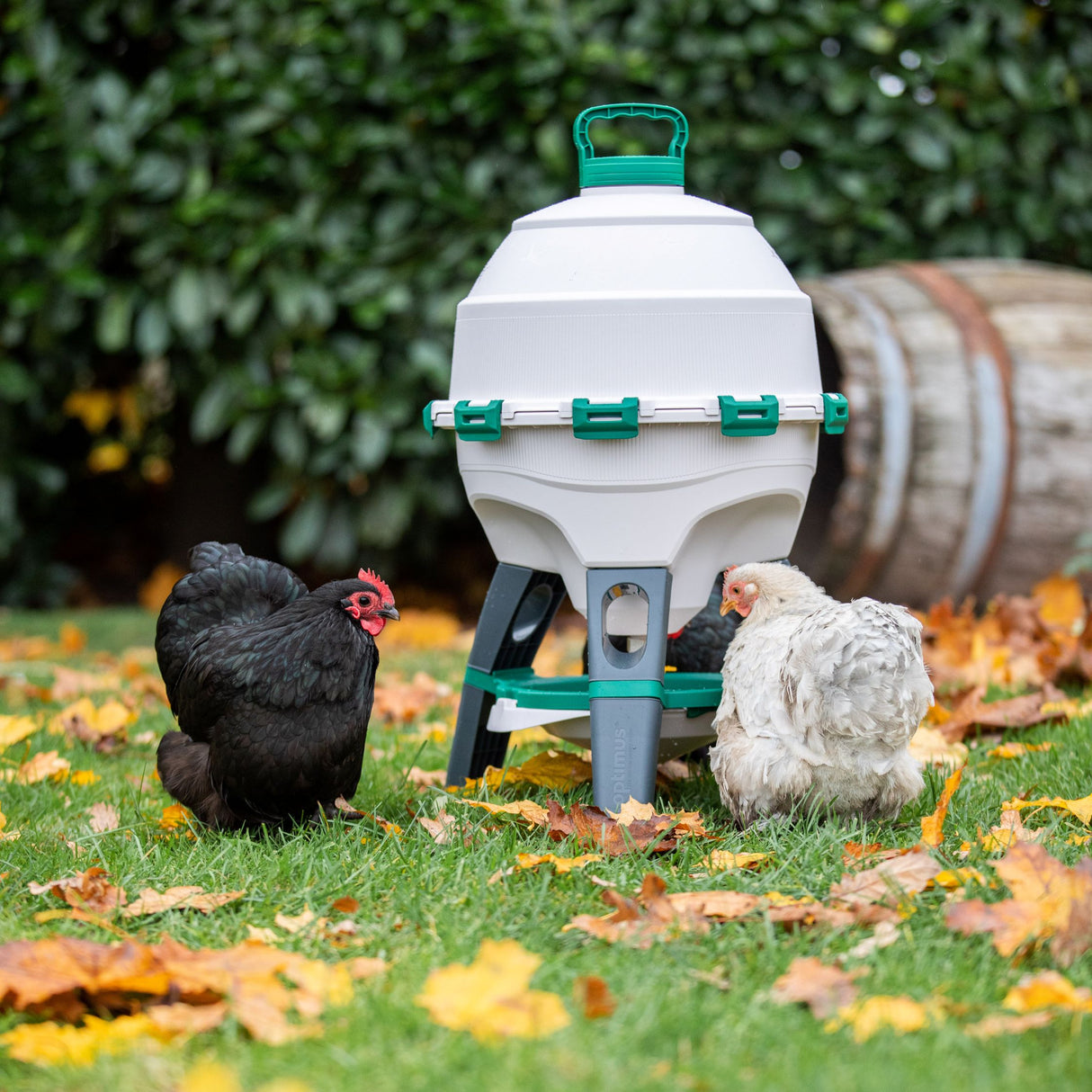 Optimus Siphon Drinker For Poultry (Indoor and Outdoor) 25lt