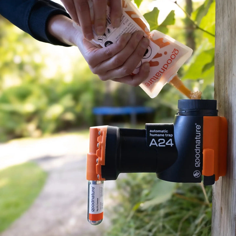 how to fill a goodnature A24 with lure