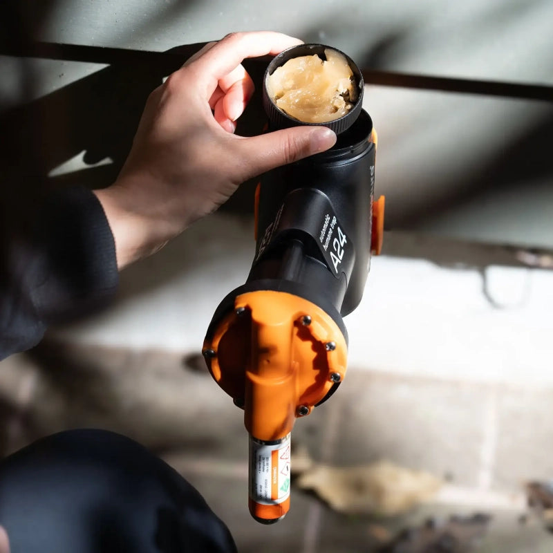 Lure in an A24 Rat Trap