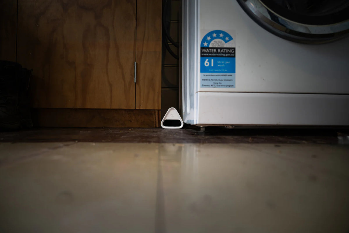 Humane Mouse Trap by Goodnature