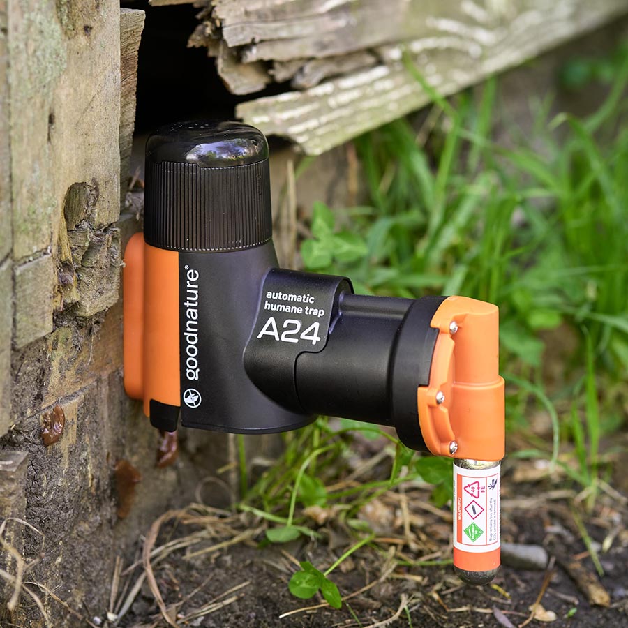 Goodnature A24 with Smart upgrade